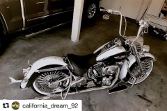custom-linbar-with-no-grooves-engine-guard