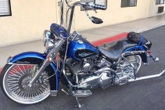 custom-linbar-with-no-o-ring-grooves-engine-guard