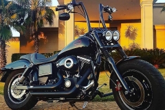 gloss-black-powder-coated-linbar-engine-guard