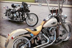 linbar-engine-guards